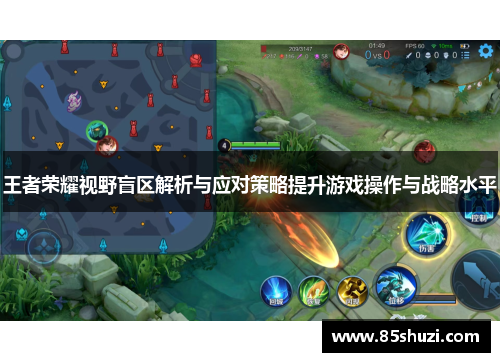 王者荣耀视野盲区解析与应对策略提升游戏操作与战略水平