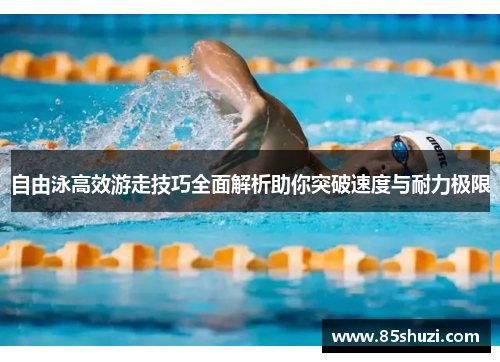 自由泳高效游走技巧全面解析助你突破速度与耐力极限