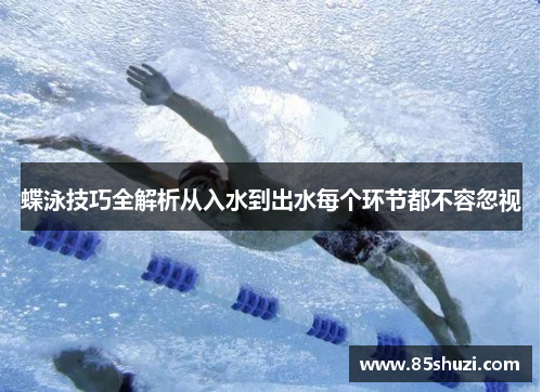 蝶泳技巧全解析从入水到出水每个环节都不容忽视
